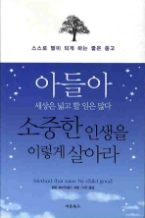 아들아 세상은 넓고 할 일은 많다 소중한 인생을 이렇게 살아라 - 개정판